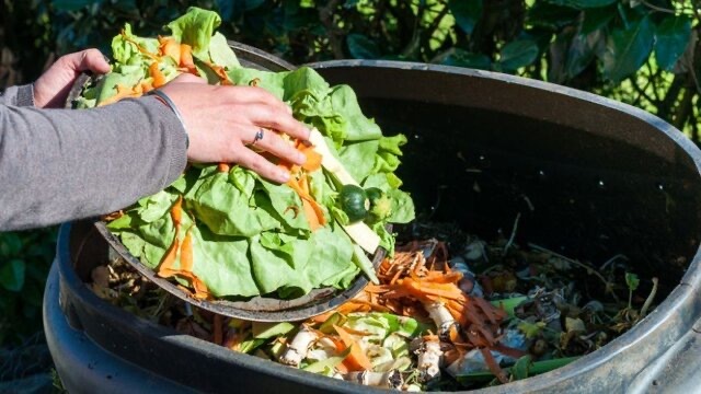 دورریز مواد غذایی در صدر پسماندهای تهران
