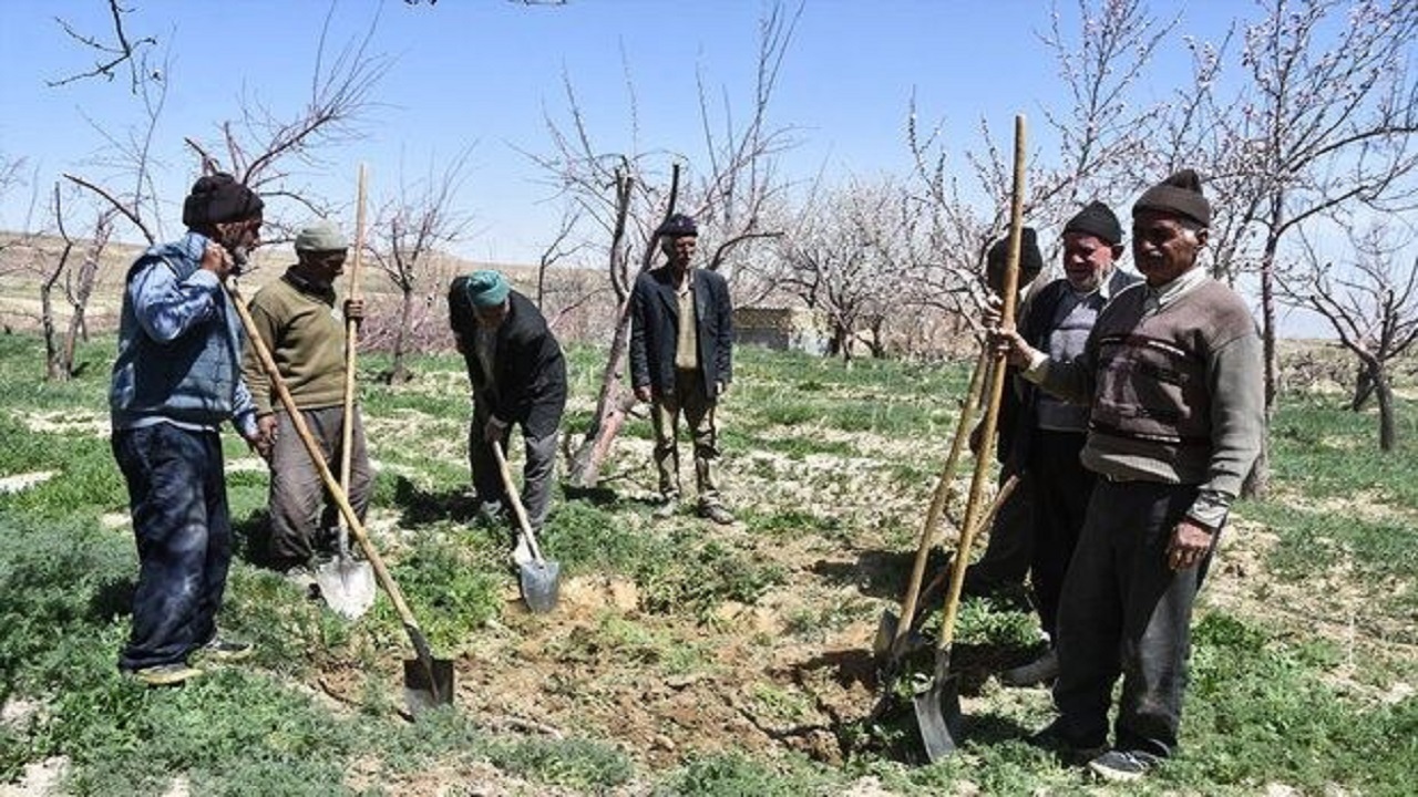 کم اطلاعی جامعه هدف از مزایای بیمه اجتماعی روستائیان در زنجان