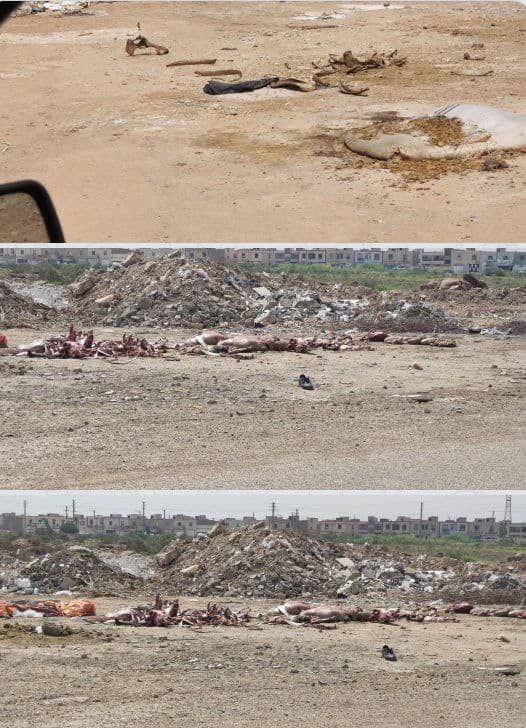 وضعیت نامناسب بهداشت در کوی مهدیس اهواز