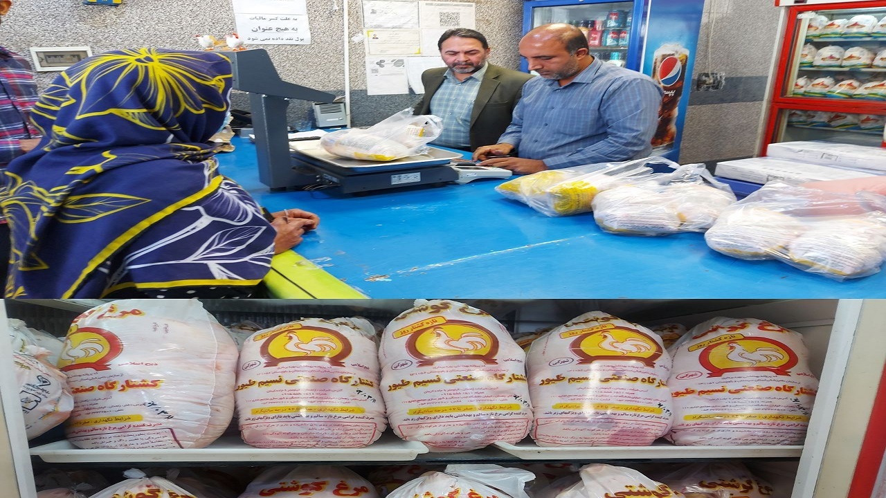توزیع مرغ منجمد در سیستان‌وبلوچستان ادامه دارد