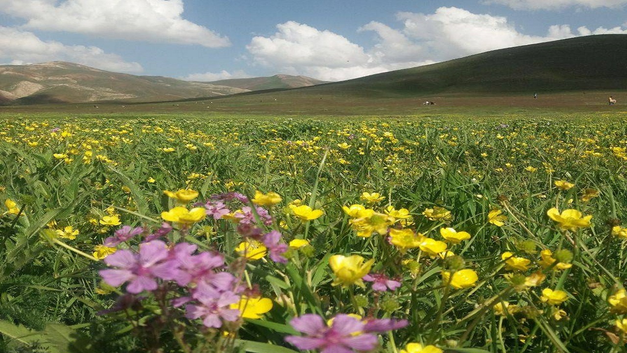چشم نوازی طبیعت بکر و زیبای روستای اردکلو در آخرین روز‌های بهار + تصاویر