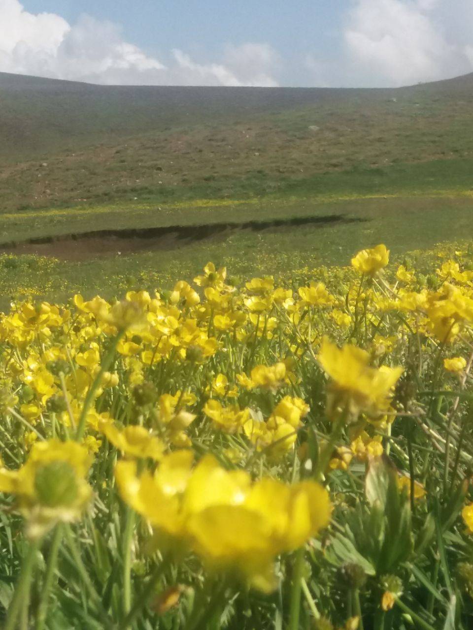 طبیعت