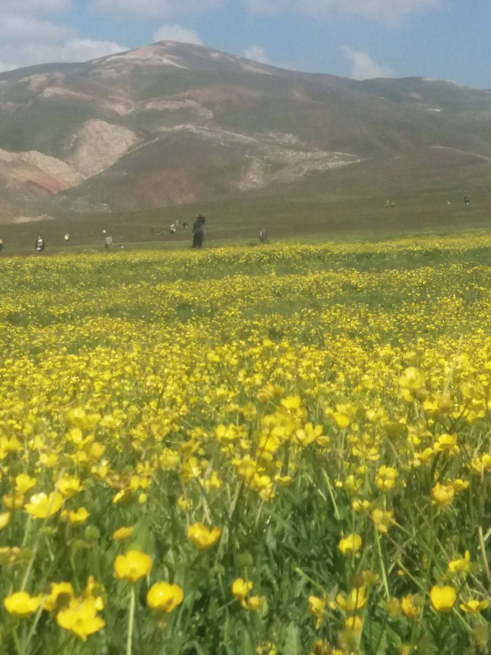 طبیعت بهاری