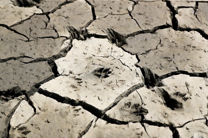 زنجیر خشکسالی بر پای کشاورزی خراسان رضوی