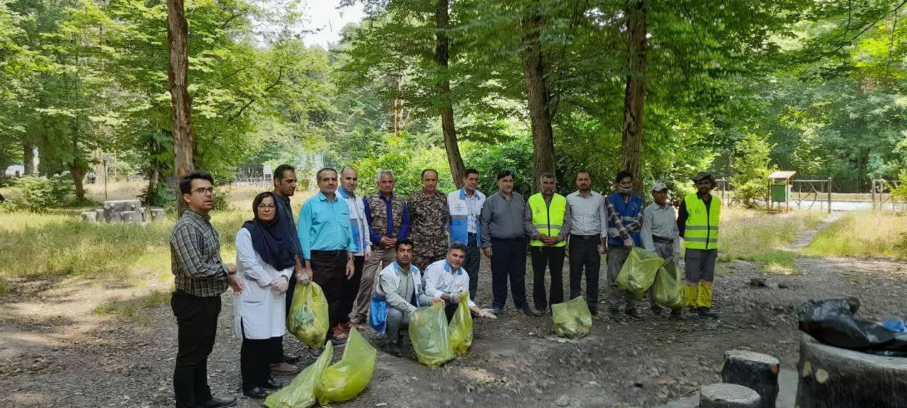 جمع آوری فیلتر سیگار در پارک جنگلی