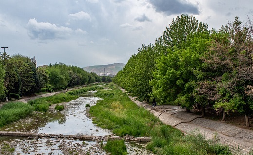 جنگلی در میان رودخانه شهرچای