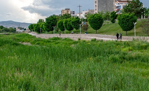 جنگلی در میان رودخانه شهرچای