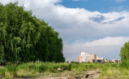 جنگلی در میان رودخانه شهرچای