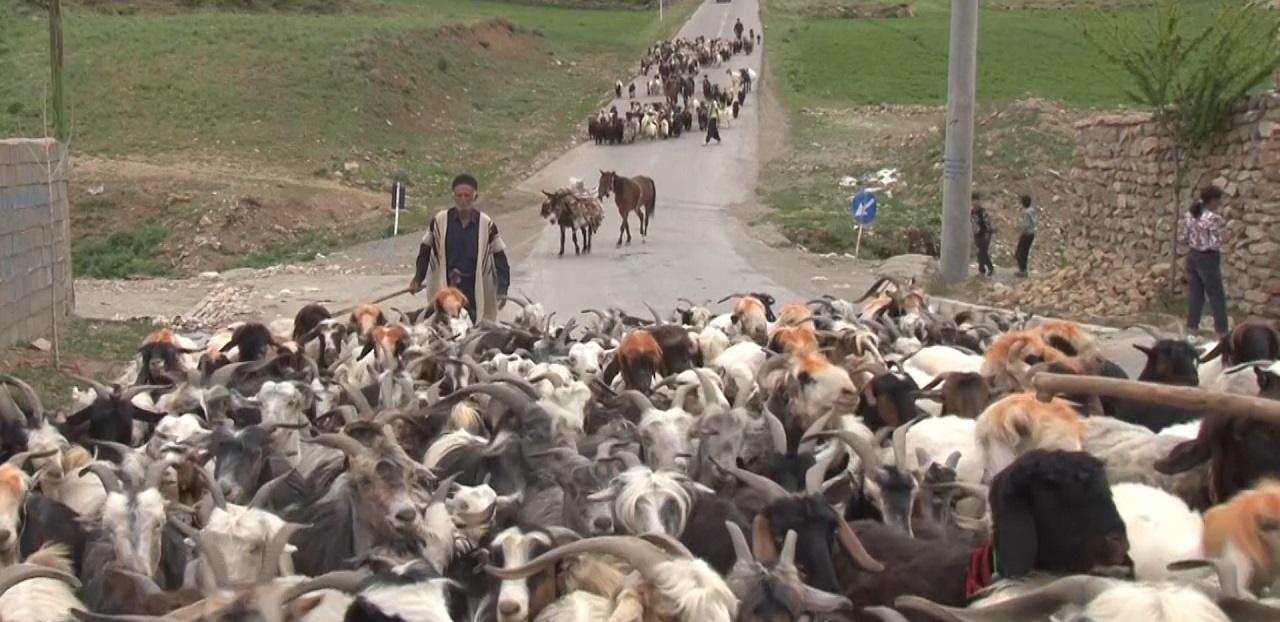 ایل راه‌ها و جاده‌های شهرستان فریدونشهر میزبان عشایر