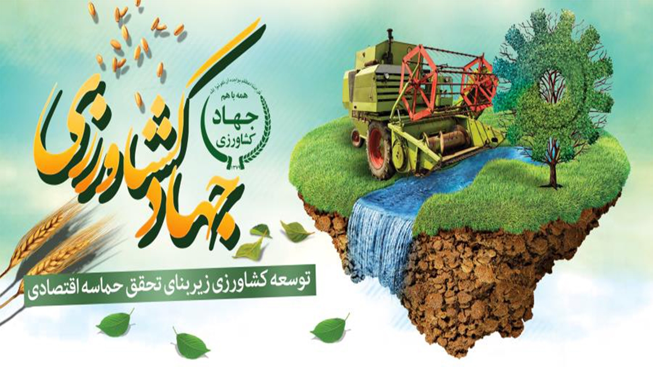 از توقیف دو دستگاه کمباین در مزارع آلوده تا رشد ۵۵ درصدی برداشت گندم