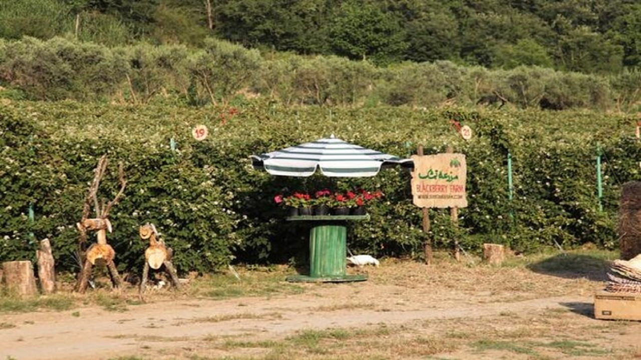 صدور ۳۳ مجوز گردشگری کشاورزی در استان گلستان
