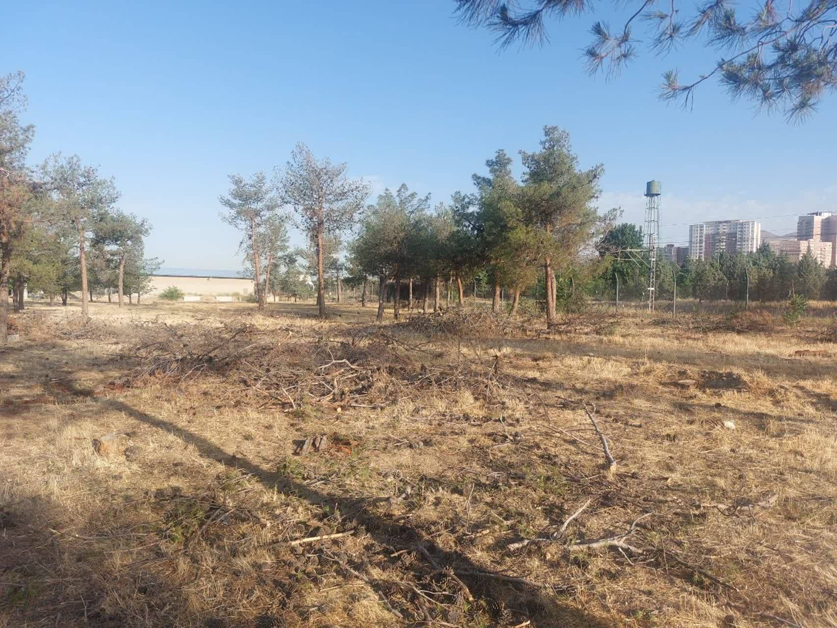 خشکی فضای سبز