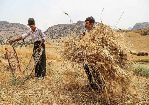 رسم زیبای قوم بختیاری/ هیاری دست پنهان انسانیت رسم زیبای قوم بختیاری/ هیاری دست پنهان انسانیت