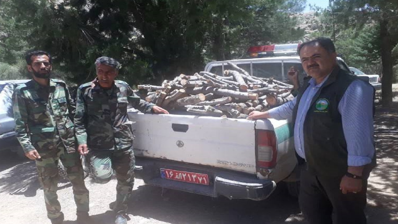 کشف و ضبط هزار کیلوگرم چوب جنگلی قاچاق