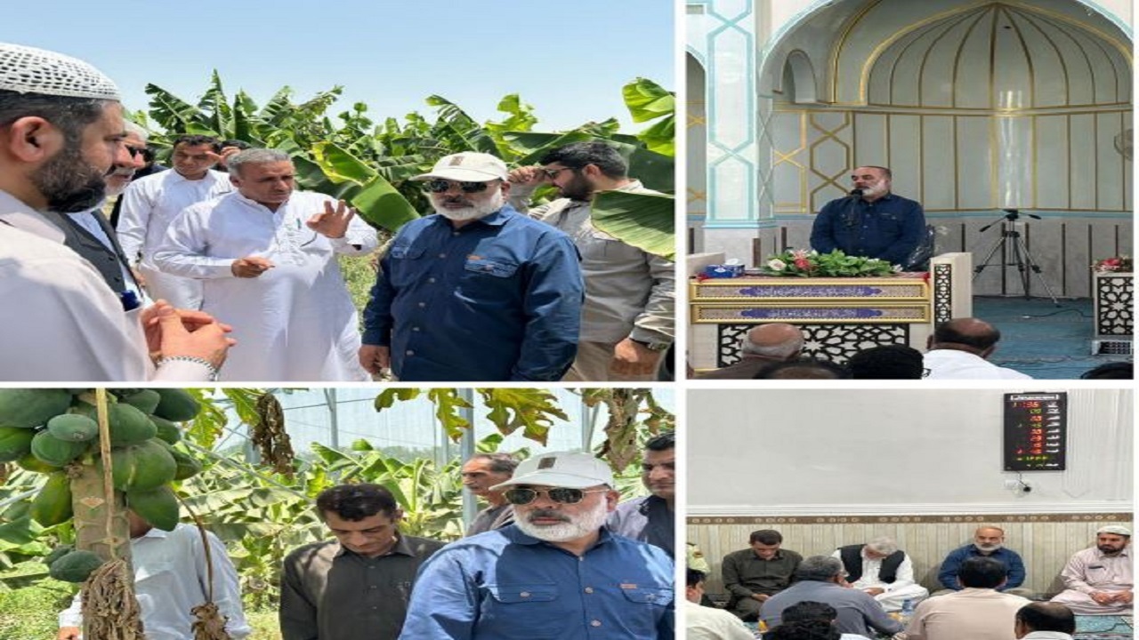 ضرورت ایجادمرکز تحقیقات کشاورزی در زرآباد