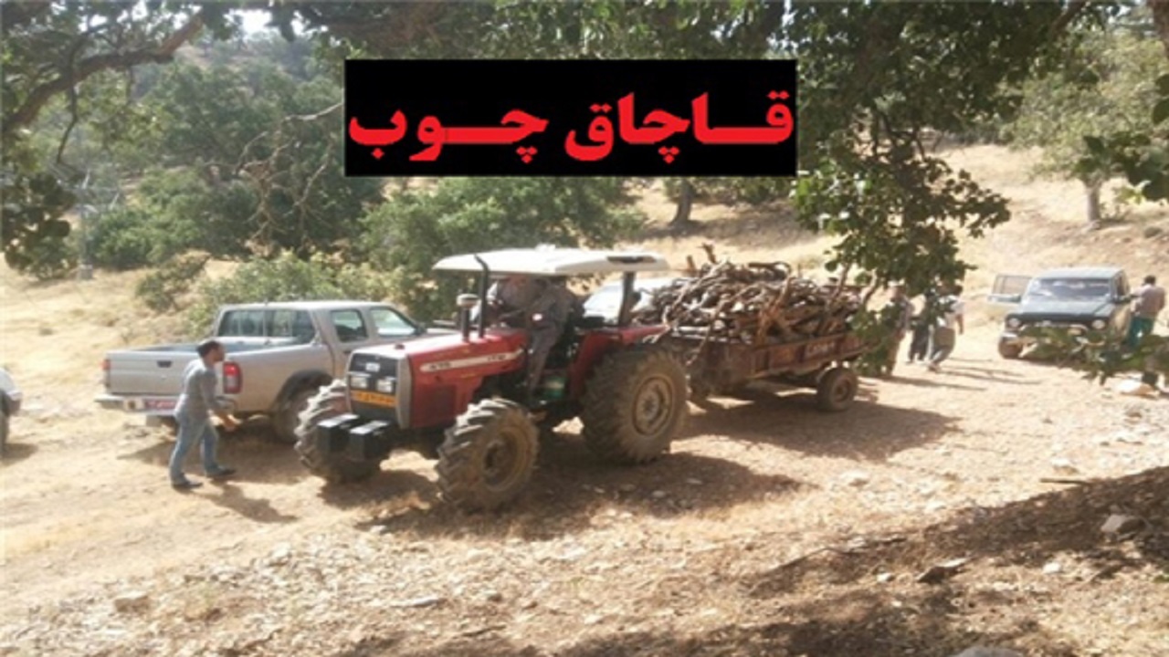 کشف بیش از ۱۶ تن چوب قاچاق در الیگودرز