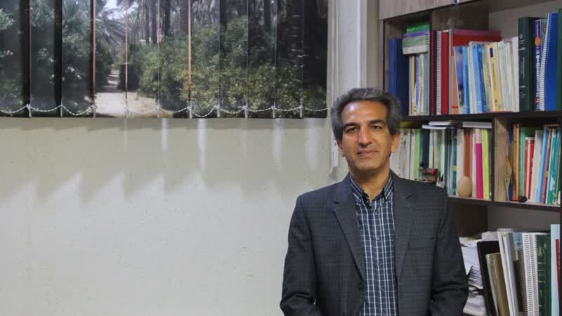 نهادینه شدن الگوی کشت از مسیر بازار می‌گذرد