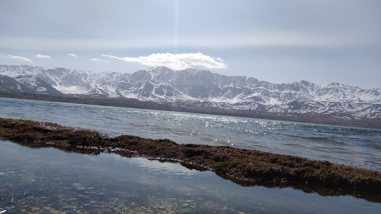 پای لنگان گردشگری در تالاب&zwnj;ها!