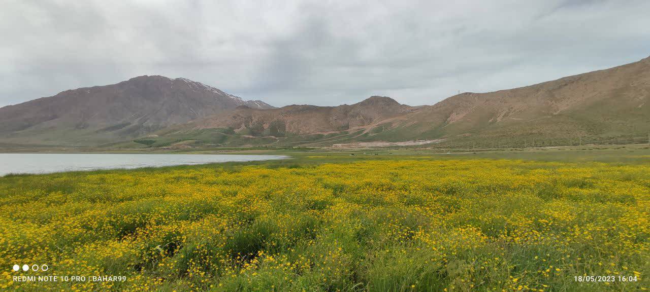 جلوه گری بهار در چهارمحال و بختیاری