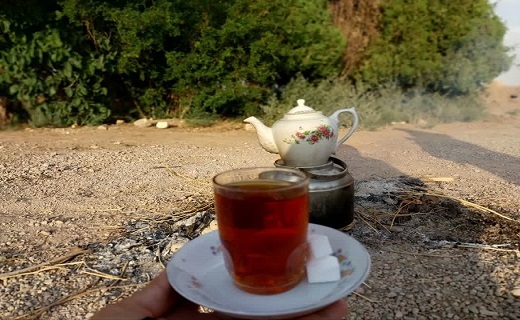 همایش پیاده روی خواهران بسیجی در مهریز+تصویر
