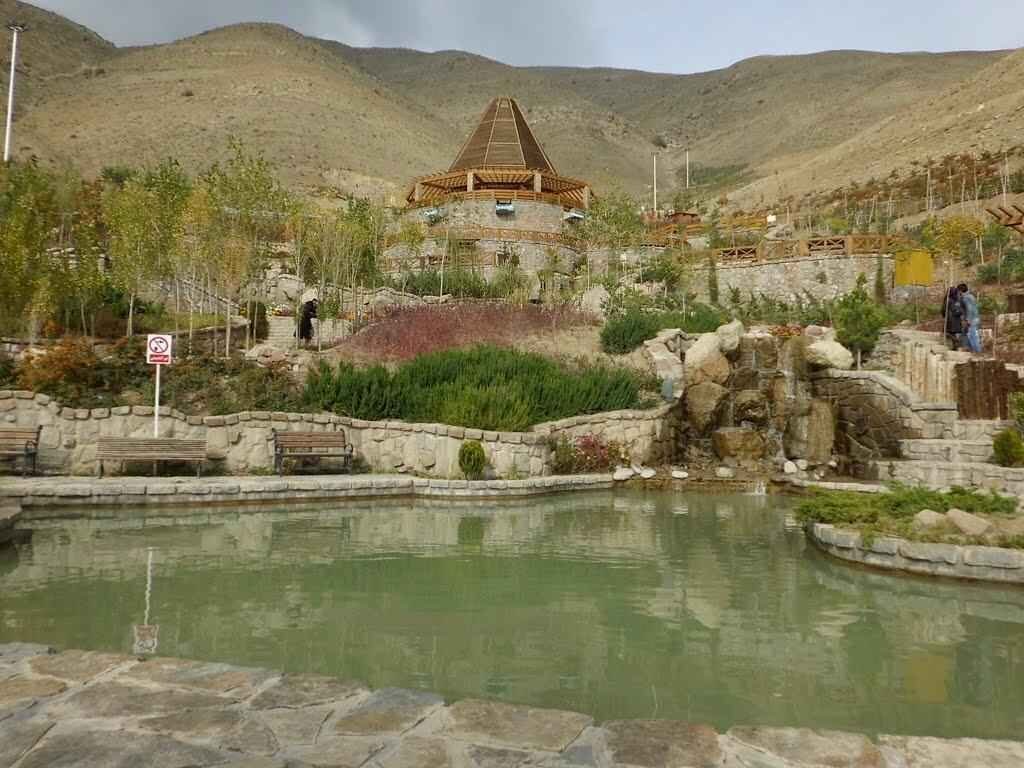 پارک جنگلی