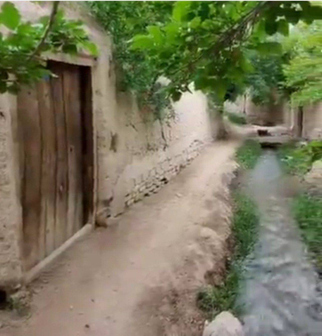کوچه باغ قدیمی
