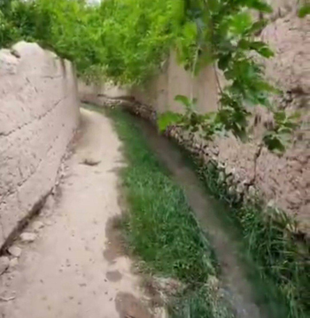 کوچه