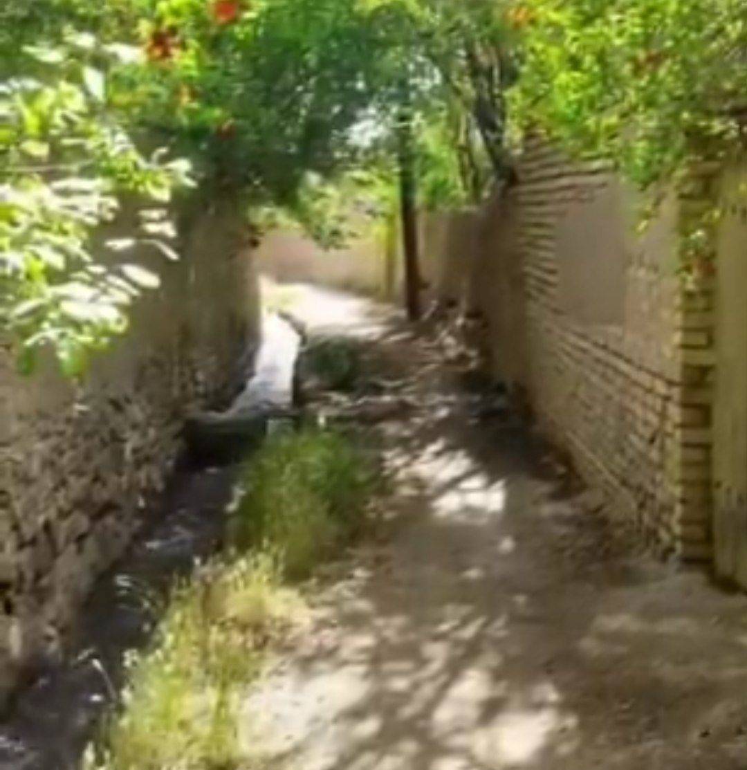 کوچه باغ