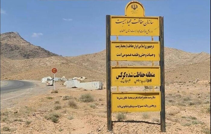 تبعات حذف محیط زیست در قانون معادن/ شلاقی که بر کوهستان کرکس می&zwnj;خورد