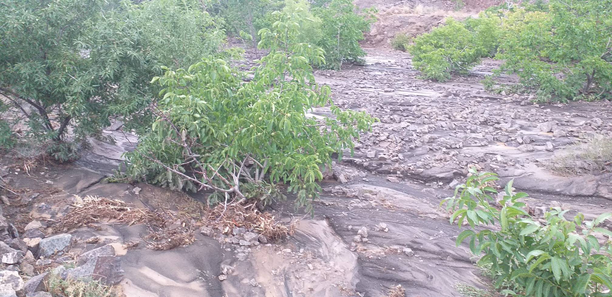 سیل در دهستان خرمدشت کوهبنان+ تصاویر