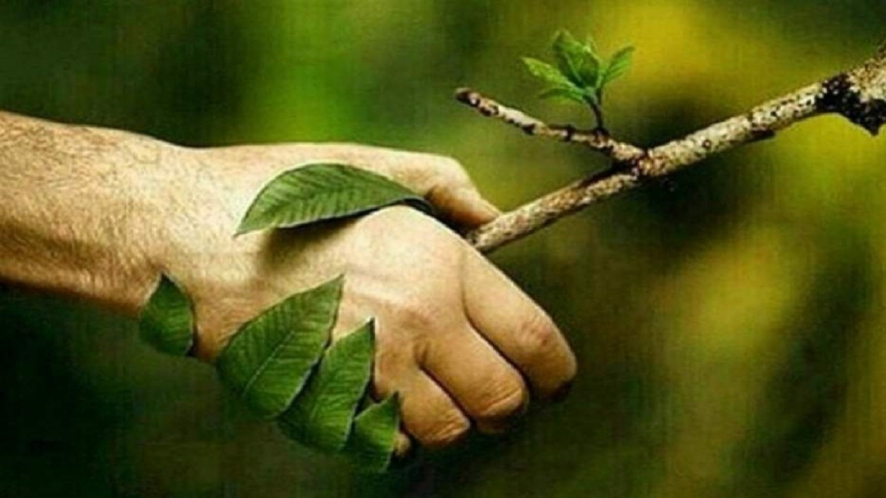 اجرای طرح همیار پلیس با محیط زیست در مدارس ابتدایی