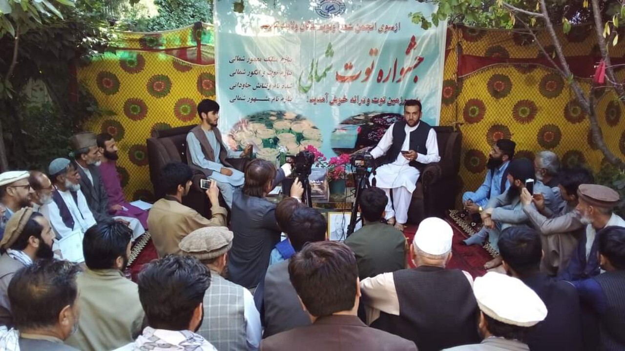 برگزاری جشنواره توت شمالی در کاپیسا