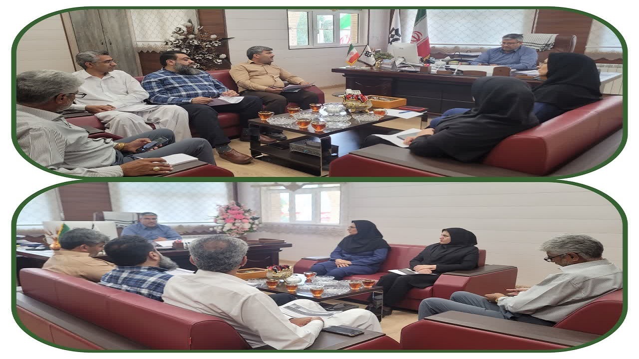 خرید تضمینی گندم سیستان و بلوچستان از مرز ۵۴ هزار تن گذشت