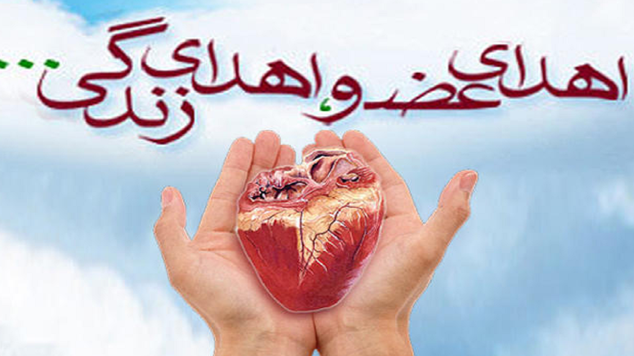 قم رتبه اول میانگین کشوری در اهدای عضو را دارد