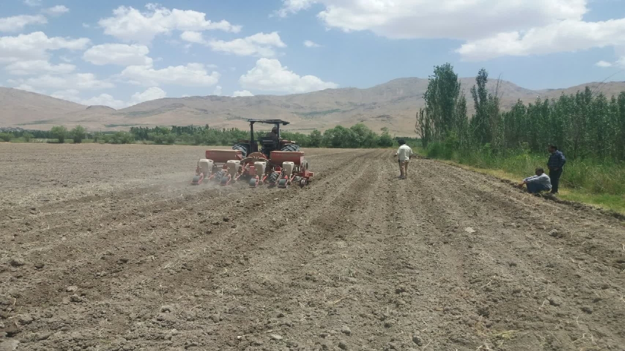 کشت دانه روغنی سویا برای اولین بار در شهرستان فارسان