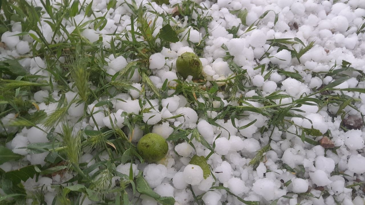 بارش تگرگ در روستای توآباد قزوین به باغ‌ها خسارت زد + فیلم و تصاویر