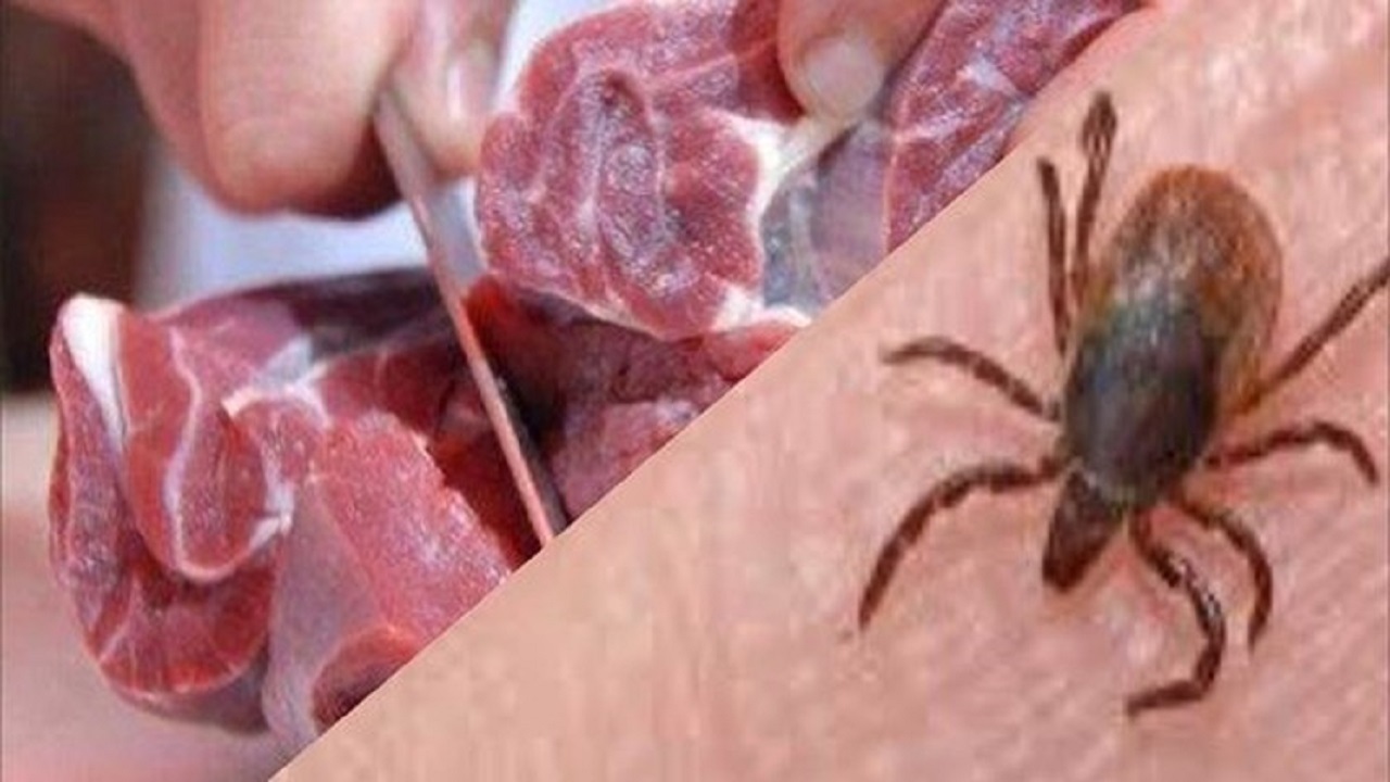 ابتلا به بیماری تب خونریزی دهنده کریمه کنگو در کرمانشاه وجود ندارد