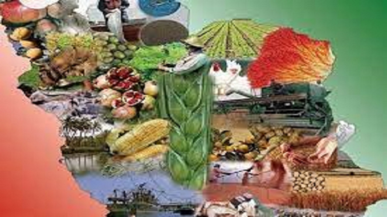 تدوین سند ملی امنیت غذایی و ابلاغ آن به زودی 