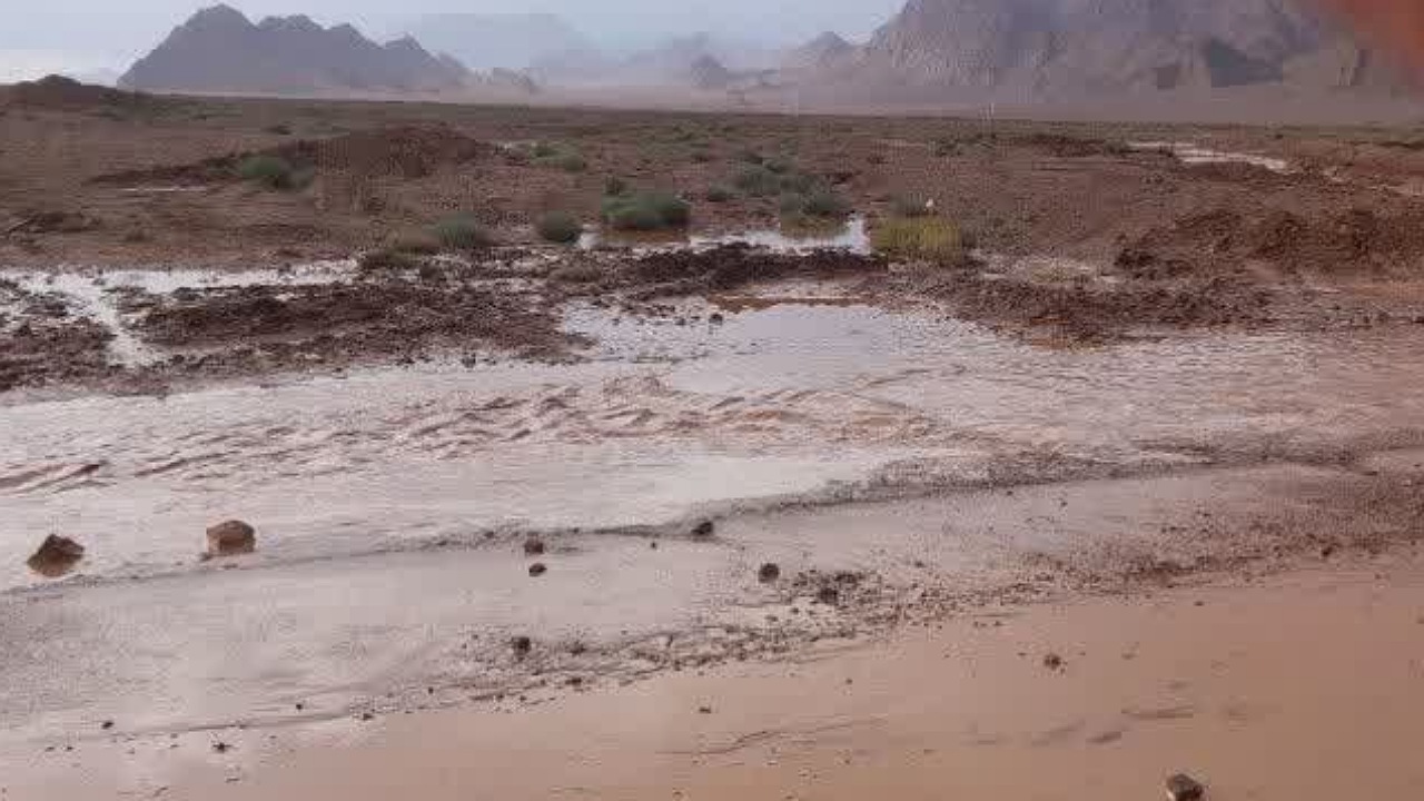 آخرین وضعیت مناطق سیل زده راین