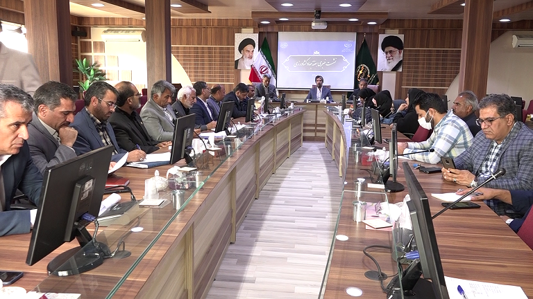 افزایش چشمگیر کشت دانه های روغنی در خراسان جنوبی