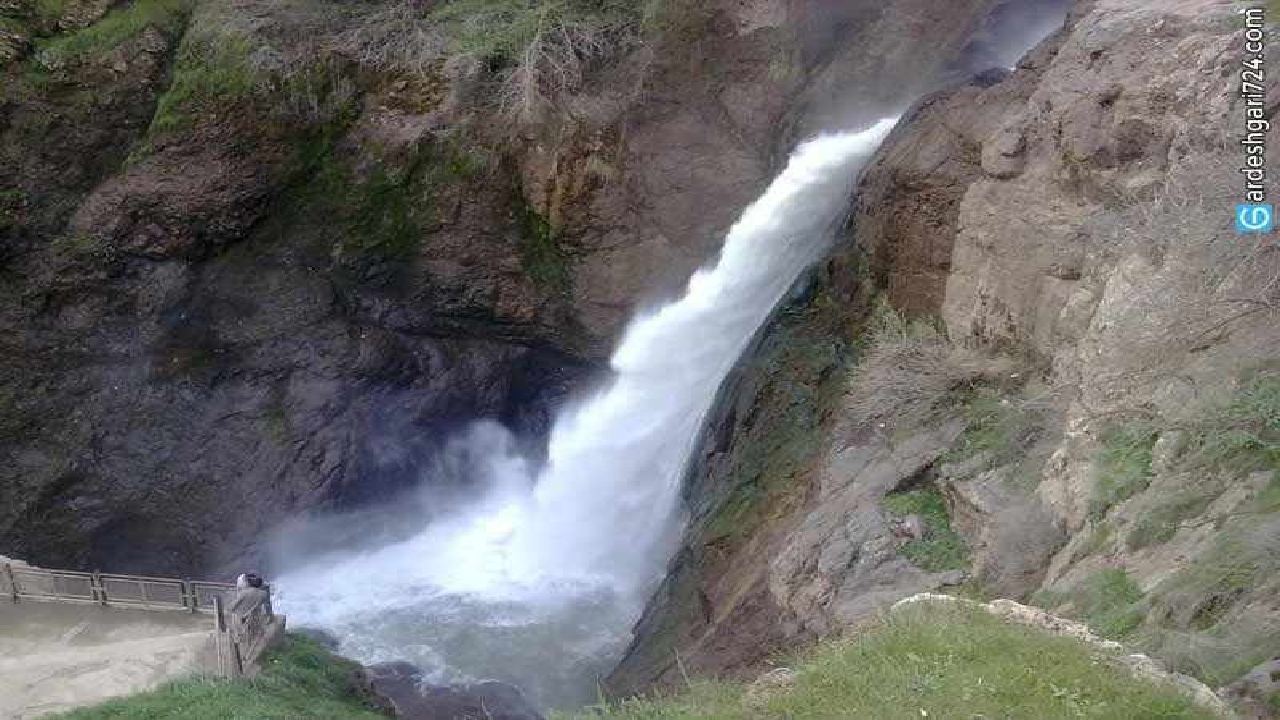 کشف گونه جدید آبزی شیرنومیده در آبشار شلماش
