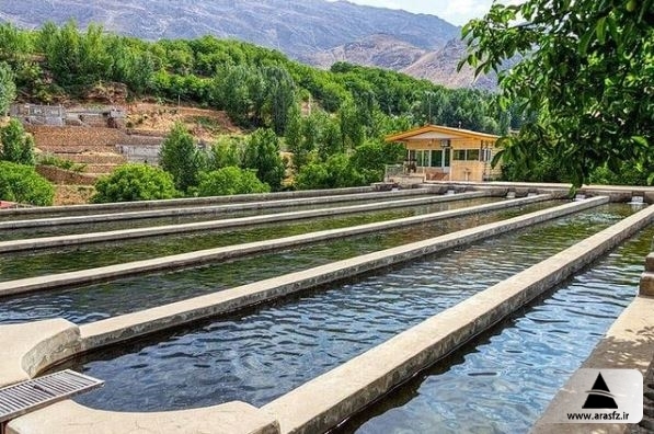 گردشگری شیلاتی یکی از شاخه‌های گردشگری کشاورزی و آبی اردبیل است
