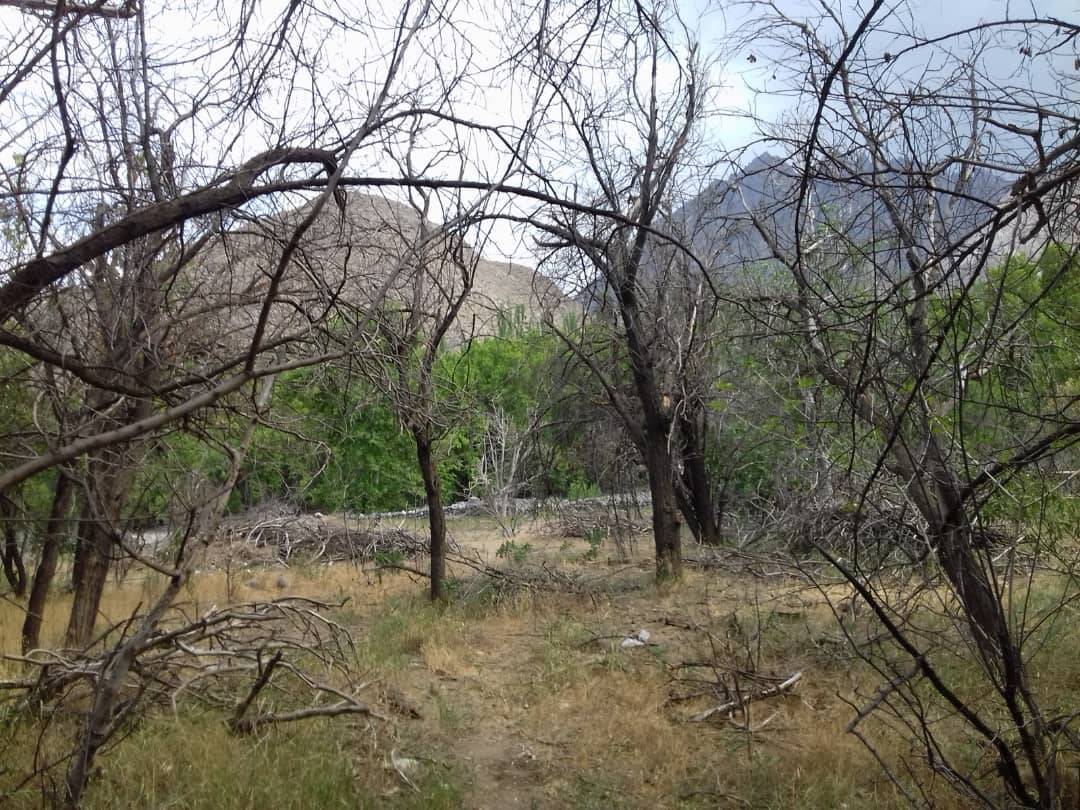 منابع طبیعی