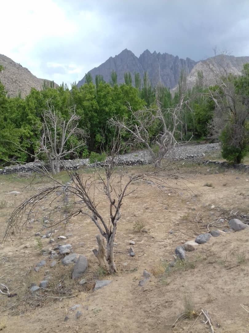 نابودی منابع طبیعی