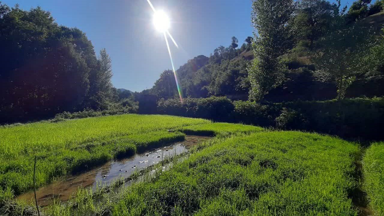 جلوه گری طبیعت روستای زروم مازندران در لنز دوربین شهروند خبرنگار