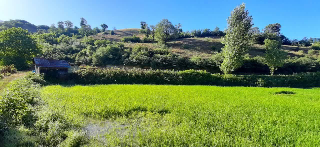 جاذبه های گردشگری