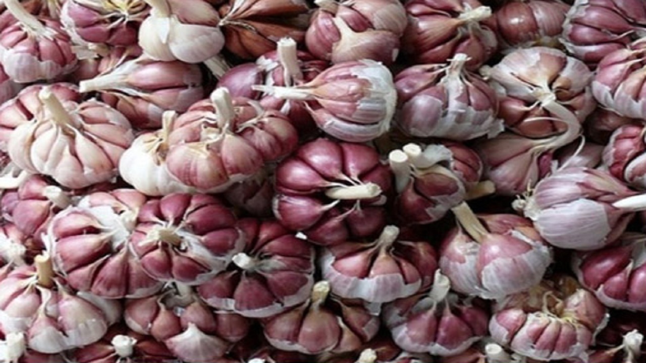 سیر همدان ثبت جهانی شد