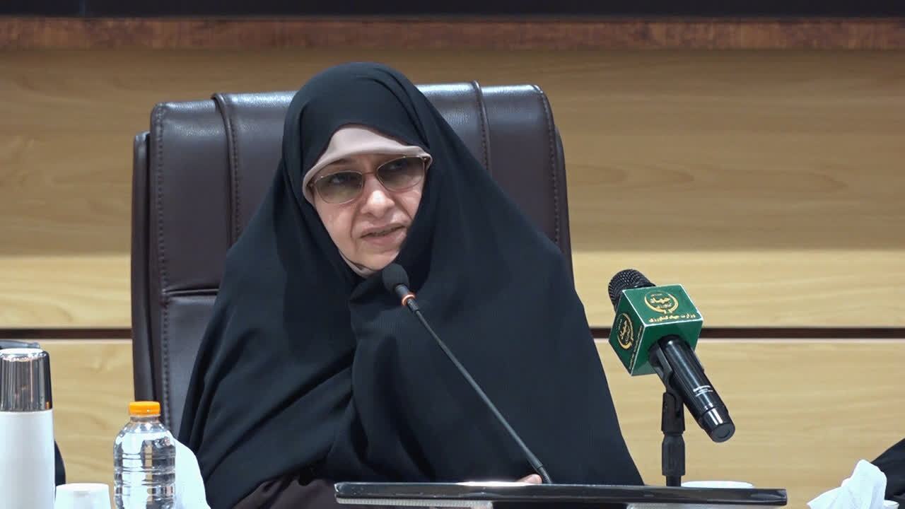 بسیج بهترین بازوی عملیاتی برای طرح‌های بانوان مشاور