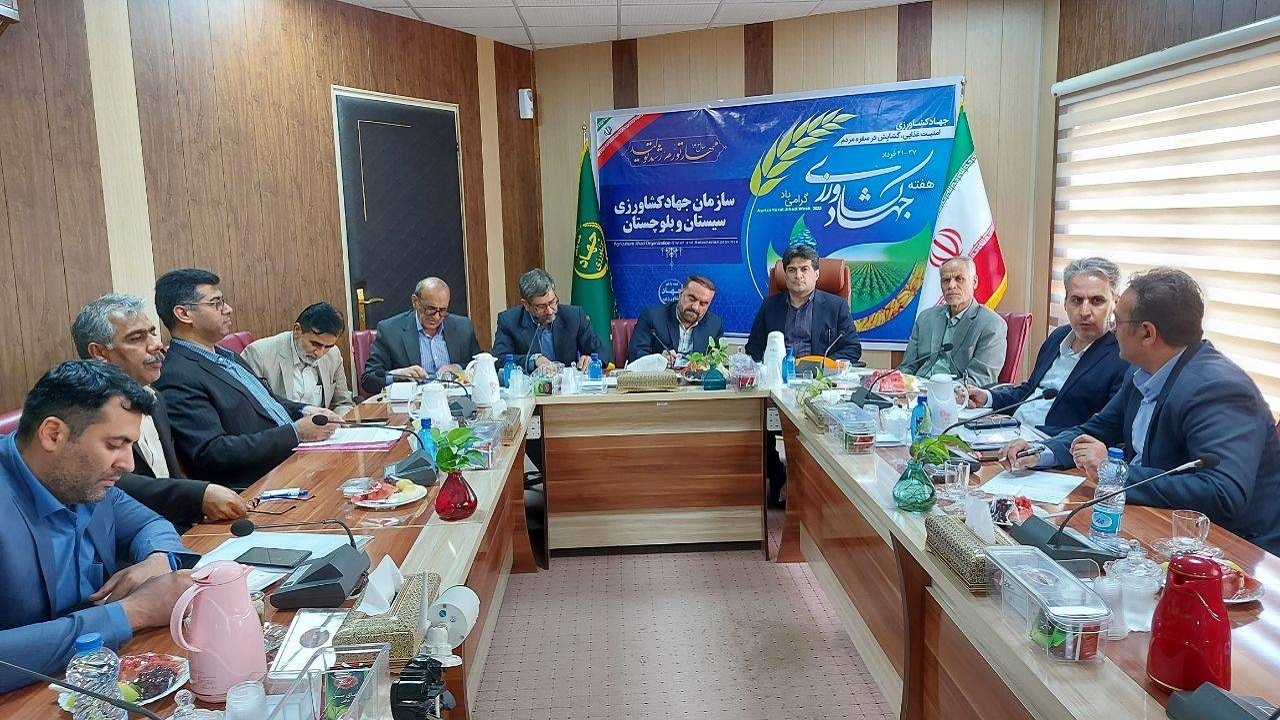 ارز به واردات دام از سیستان وبلوچستان تعلق می‌گیرد