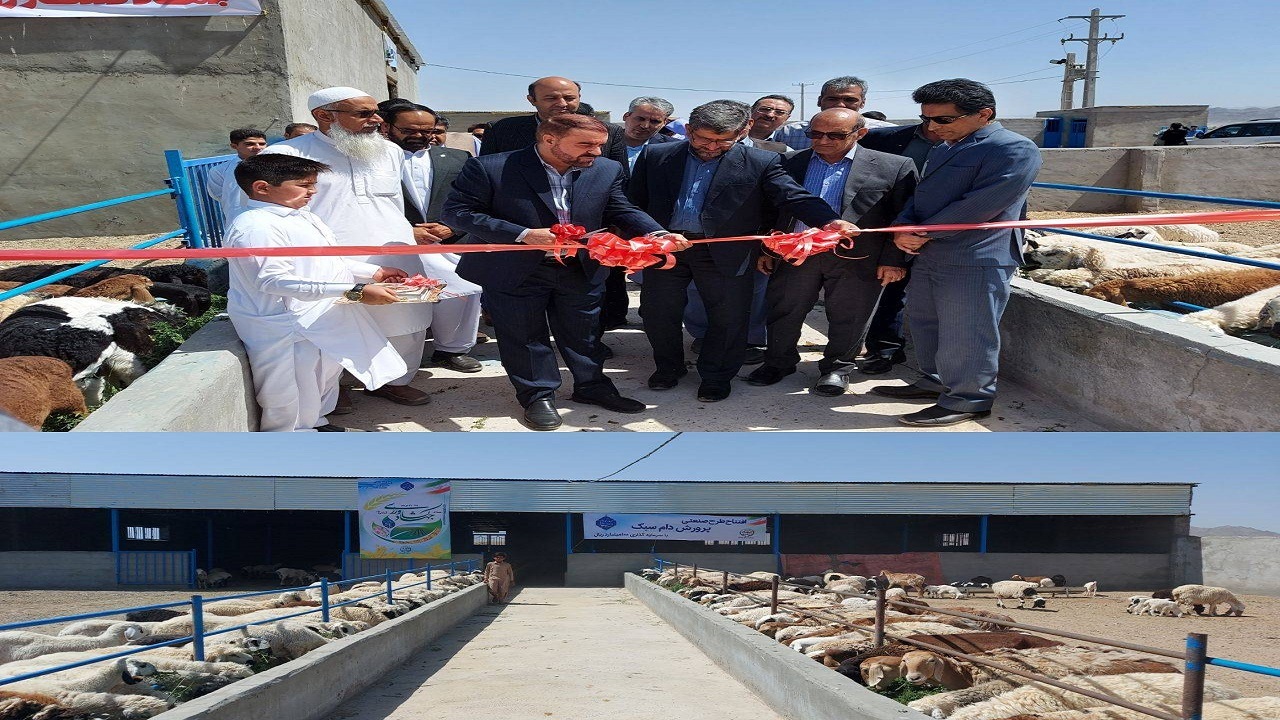 افتتاح یک واحد صنعتی پرورش دام سبک در زاهدان